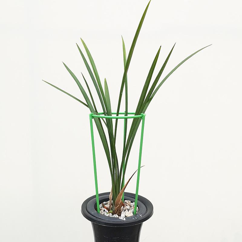 O1CN01sHxK7O240jM2X3PZ2_!!6257