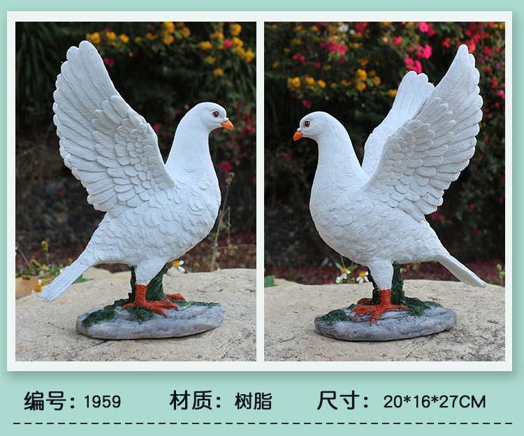 鸽子_07.jpg