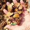 Luo Han Guo em Atacado Fruta Quebrada Guangxi Guilin Atacado Fruta Grande Quebrada Fruta Grande Triturada Chá de Ervas Fruta Seca Fruta de Casca Quebrada para Churrasco