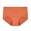 Ropa Interior Nueva para Mujer Talla Plus Grande Transpirable Sin Costuras Alta Elasticidad Doble Capa en la Entrepierna para Chicas Gorditas Bragas Usables para Mujer