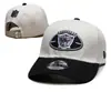 Gorra de Béisbol de Borde Plano Bordada con SF de Equipo de Fútbol de la Liga Mayor de 32 Equipos Ajustable Transfronterizo para Exteriores Calle Hip-Hop