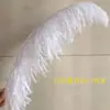 Plumas de Avestruz Reales 10-80CM Blancas Decoraciones para Pasillo de Boda Centros de Mesa Plumas de Avestruz DIY Accesorios Decorativos de Plumas Plumas Grandes