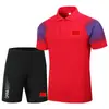 Camiseta Polo Deportiva Casual de Solapa del Equipo Chino de Manga Corta Verano Nueva Camiseta de Running de Secado Rápido Uniforme Deportivo de Entrenamiento para Estudiantes