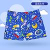 Calções de Banho para Meninos de Crianças Pequenas e Médias, Fatos de Banho Fofos para Bebês, Calções de Banho Estilo Boxer para Meninos Pequenos no Verão, para Fontes Termais