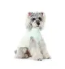 Ropa de verano antiadherente de pelo para perros pequeños y medianos, Teddy Schnauzer protección solar secado rápido transpirable fresco chaleco ropa para perros