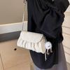 Bolsa Nuvem Plissada Popular Deste Ano 2024 Verão Nova Bolsa Feminina Versátil Corrente Bolsa Quadrada Pequena Moderna Estilo Ocidental Bolsa Transversal