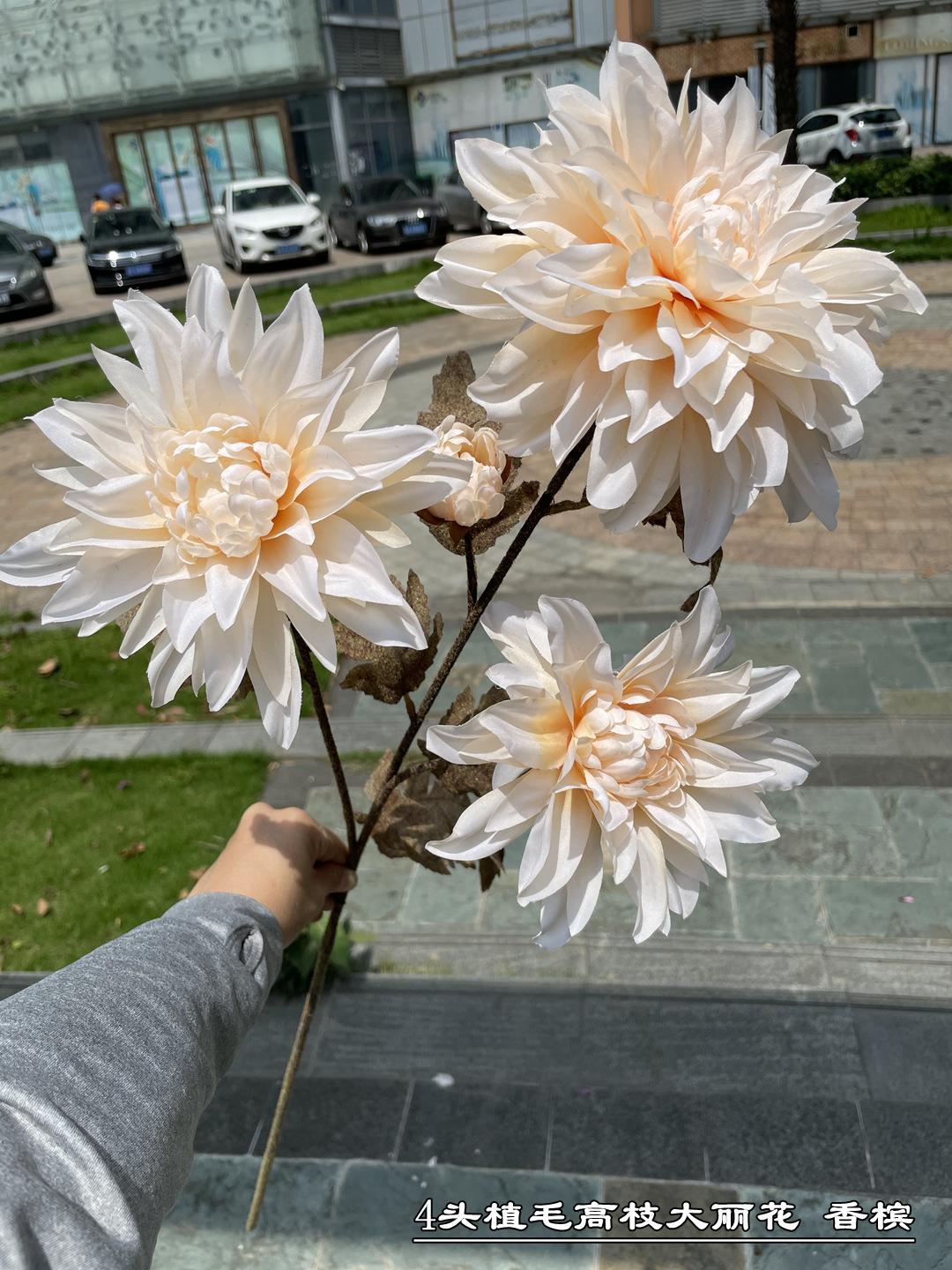 微信图片_20210519182314_副本.jpg