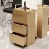 Carro de Herramientas para Salón de Belleza Gabinete de Almacenamiento Móvil con Cajones Gabinete de Herramientas para Barbería Peluquería Acero Inoxidable