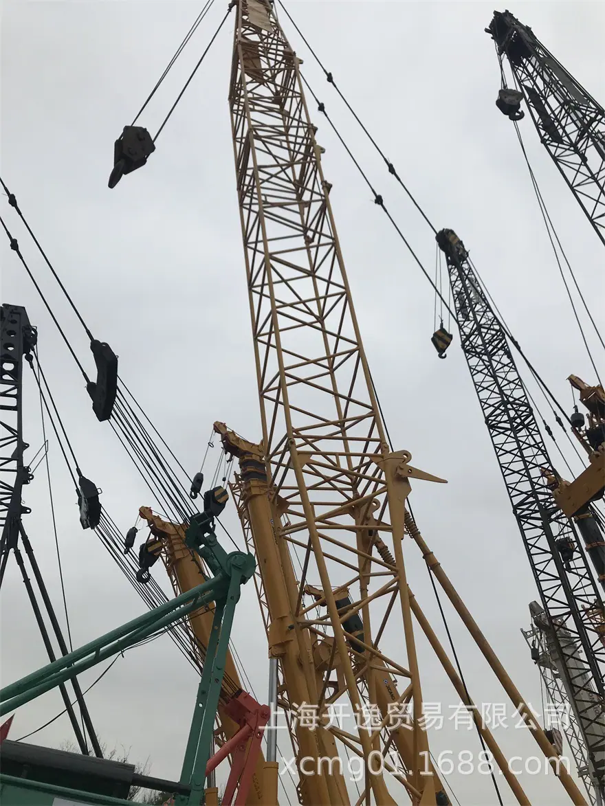 50 ton crane (5)