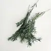 Flores Secas Navideñas, Canela, Limón, Piñas Mezcladas Juntas, Flores Secas Hechas a Mano, Kits de Materiales DIY para Aromaterapia, Accesorios, Venta al por Mayor de Fabricantes