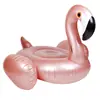 Producto de gran venta transfronteriza: Flotador Inflable para Batalla de Agua, Juguete de Lucha de Caballeros, Escudo Interactivo para Piscina, Espada y Juego de Montar