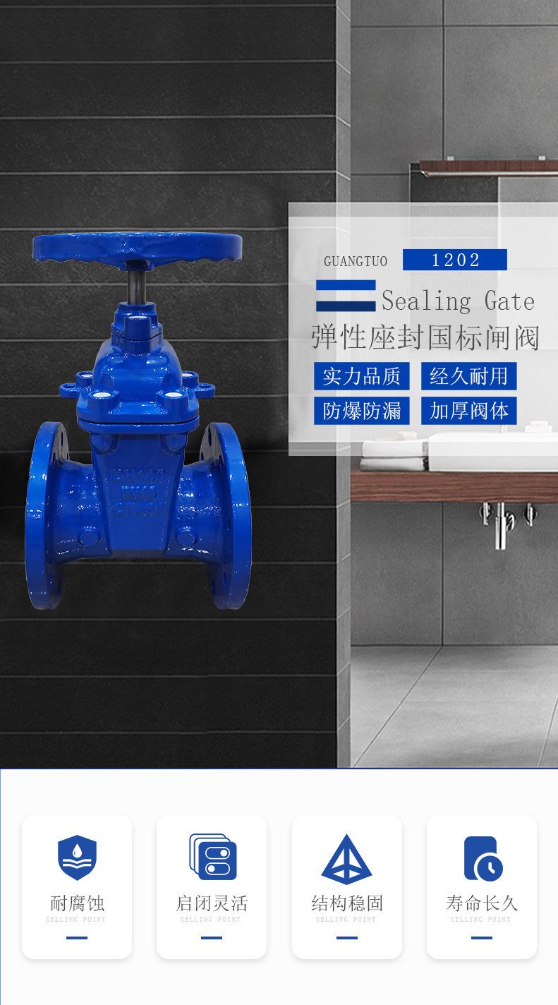 弹性座封国标闸阀_01.jpg