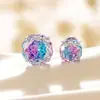 Henson Color Doble Gradiente Corte Rosa Circonita Acero de Titanio Tornillo Hélice Hélice de Oreja Uña de Oreja Nicho Pendientes de Alta Gama para Niña