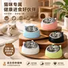 Tazón angular para gatos de acero inoxidable, tazón de comida para perros y gatos, anti-derrames, protección del cuello, tazón de agua y comida para gatitos, venta al por mayor transfronteriza