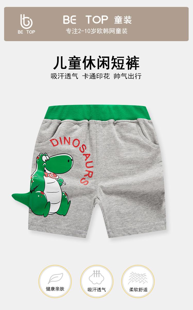 dk9072_01.jpg