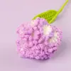 Ramo de Claveles Tejidos a Crochet de Lana Terminados Transfronterizos Flor Artificial Hecha a Mano Flor Tejida Día de la Madre Pequeño