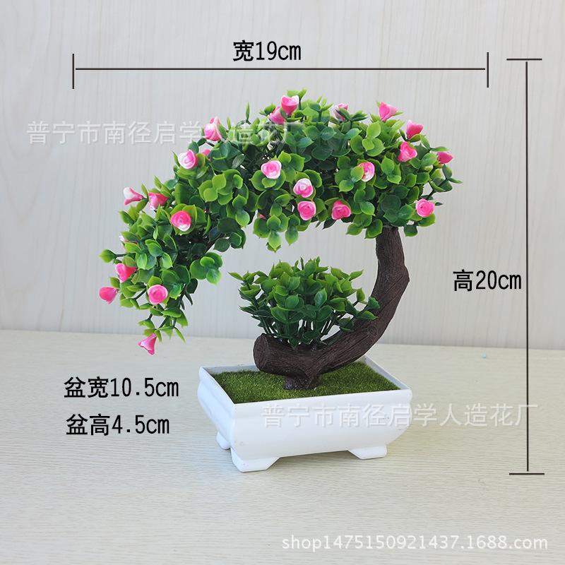 月牙玫瑰粉红