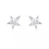 Pendientes de Hueso de Oreja con Forma de Estrella Brillante de Cuatro Puntas, Clavos para el Cartílago con Aguja Antialérgica de Plata, Mini Cristales Pequeños, Pendientes de Diseño Exquisito y de Nicho para Mujeres