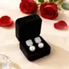 Brincos Quadrados Retro Franceses com Zircônia para Mulheres, Acessórios de Outono e Inverno, Alto Padrão, Luxo Leve, Simples, de Nicho, Versáteis Brincos Vermelhos