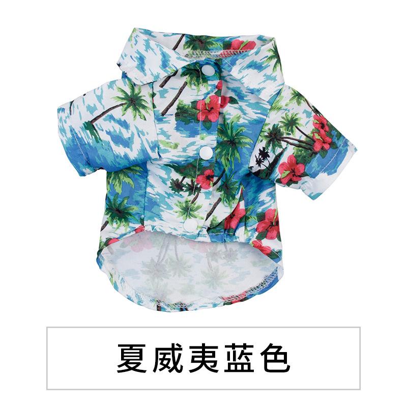 夏蓝.jpg