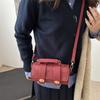 2024 Novo inverno estilo ocidental em relevo desenho animado nicho francês bolsa de travesseiro portátil bolsa de ombro feminina bolsa crossbody