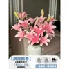 Flores Que Florescem por Muito Tempo e São Fáceis de Cultivar, Lírios, Sino dos Ventos, Flores de Corte Frescas, Plantas Hidropônicas de Cabelo Reto de Yunnan, Rosas, Arranjos de Flores de Interior