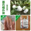 Bolsado de Carambola, Bolsa Protectora para Manzanas, a Prueba de Insectos y Pájaros, Bolsa para Carambola, Bolsa de Película Transpirable y Drenante para Guayaba