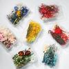 Paquete de Materiales DIY de Flores Eternas Mixtas Flores Secas Flor Real Natural Secada al Aire Vela Abanico Marco de Fotos Caja de Flores Secas