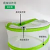 Listo para Stock Transfronterizo Bolsas de Hombro para Niños para Exteriores Cubo Jaula para Mariposas Jaula para Insectos Cubo de Juguete Cubo de Observación Cubo Plegable para Almacenamiento