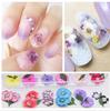 Nueva decoración de uñas con flores secas, diseño de uñas tridimensional, flores secas, 6 colores, calcomanías para uñas, 12 colores, encaje, flores secas.