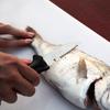 Traje de tres piezas de equipo de pesca deportiva al aire libre transfronterizo, removedor de anzuelos, tijeras para línea de pesca de alta potencia, cuchillo para pescado, traje de accesorios de pesca