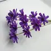 Sementes, Flores, Flores Eternas, Flores Secas Artesanais, Kit de Material DIY, Arranjo de Flores em Vaso, Flores Naturais Reais, Adereços para Fotografia, Plantas Estilo Ins