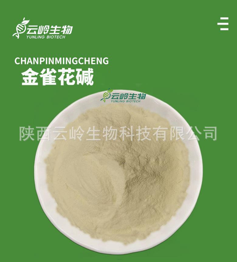 金雀花碱主页图