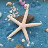 Suministro Directo de Fábrica Accesorios de Resina Estrella de Mar Estilo Mediterráneo Decoraciones para Acuarios Adornos Conchas Creativas Decoración Exquisita