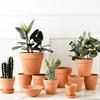 Vaso de Barro Vermelho Vaso de Terracota Vermelha para Suculentas Vaso de Flores Extra Grande Cerâmica Cerâmica Grossa Pothos Terracota Plantio Vaso para Cultivo de Vegetais Flores