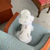 Otoño e Invierno Nuevo Abrigo Cálido de Color Sólido para Perro Mascota Teddy Bichon Yorkshire Perro Pequeño Gato Ropa Venta al por Mayor