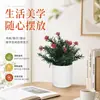 Planta Artificial en Maceta Nueva de Amazon Decoraciones para el Hogar Adornos de Planta Verde Artificial Pequeña Camelia Plástico Pequeño Bonsái