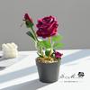 Flores Artificiales Rosa de Terciopelo de Tres Cabezas Decoración Bonsái Accesorios de Fotografía Flores Artificiales Plantas Verdes Adornos Florales para Boda Plantas en Maceta Simuladas