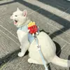 Cuerda de tracción para gatos, antiroturas, especial para salir, con correa para el pecho antipérdida.