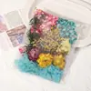 Kit de Materiales Florales Eternos para Ramo de Flores Secas DIY, Accesorios Decorativos Hechos a Mano, Materiales Florales y Accesorios Coloridos Mixtos con Temática de Sanación