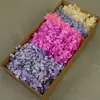 Flor Mágica Flor Eterna AB Anna Hortênsia 100g Aniversário Real Flor Diy Material Flor Seca Decoração Namorada Presente