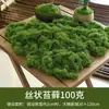 Grama de Musgo Biónica Artificial Musgo Falso Micro Paisagismo Decoração Gramado Bonsai Plantado em Vaso Pavimentação Paisagismo