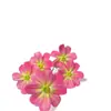 Nueva Flor Artificial Gesang Flor de Impresión 3D de 5 Cabezas Flor de Seda Flor Falsa Decoración para el Hogar Boda Coreana Mesa de Café