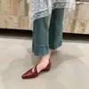 Primeiro Encontro com os Sapatos Mary Jane de Salto Grosso Nicho Estilo Francês para Mulheres, Sapatos Rasos de Bico Apontado Primavera/Verão 2026, Sapatos Rasos Pequenos de Couro Macio