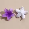 Patch de Decoração Acrílica Flor de Cinco Pétalas Gelo Transparente de Verão, Brincos DIY, Acessórios de Orelha, Acessório para Chaveiro de Tamanco