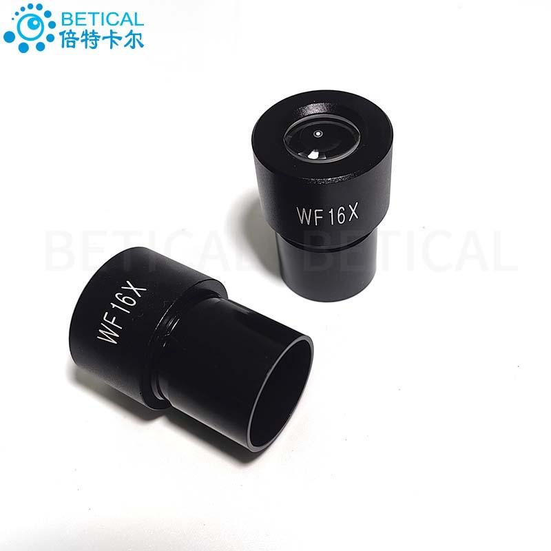 WF16X-01.jpg