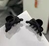 Mini Presilha de Garra para Mulheres, Estilo de Luxo, Novo Modelo 2026, Grampo de Cabelo, Presilha Lateral, Presilha para Franja, Acessório de Cabelo de Princesa