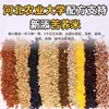 Arroz Integral de Sete Cores Yesanpo Baixo Teor de Gordura Grãos Grossos Arroz Arroz Negro Alimento Básico Cinco Cores Cinco Grãos e Grãos Diversos Arroz Integral de Três Cores