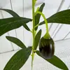 Planta artificial hojas de olivo, plantas verdes con frutos de olivo integrados, varias especificaciones, para decoración de jardín y proyectos, venta al por mayor desde el fabricante