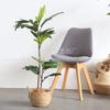 Ponto Árvore de Pão Artificial Árvore Falsa Vaso Planta Verde Vaso Decoração Sala de Estar Interior Estilo Ins Planta Artificial Decorativa